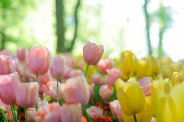 easter centerpieces